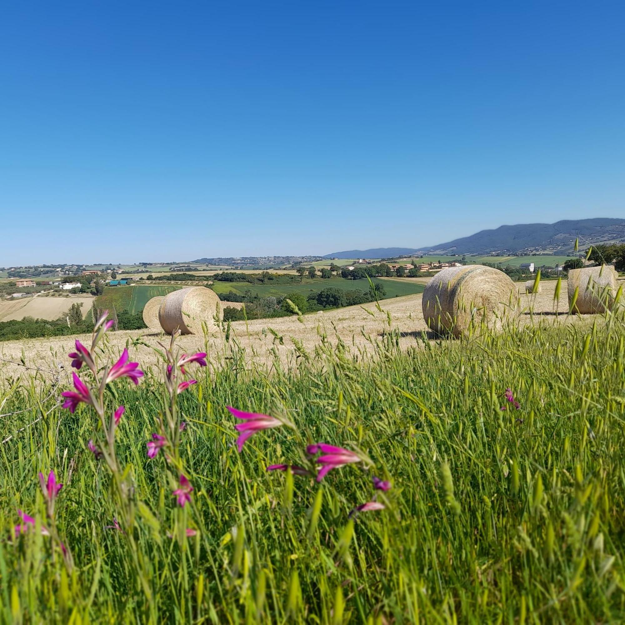 Tenuta San Felice Giano dellʼUmbria Екстериор снимка
