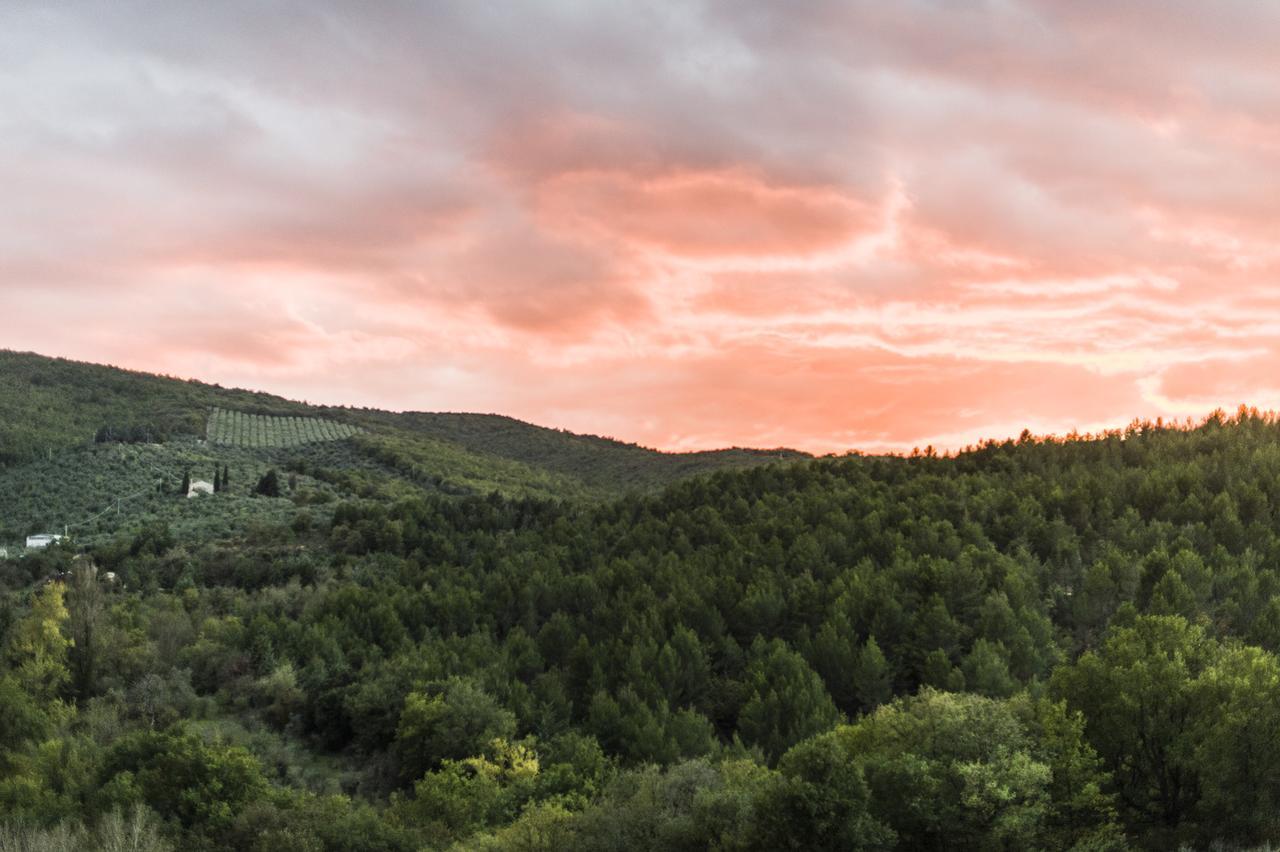 Tenuta San Felice Giano dellʼUmbria Екстериор снимка