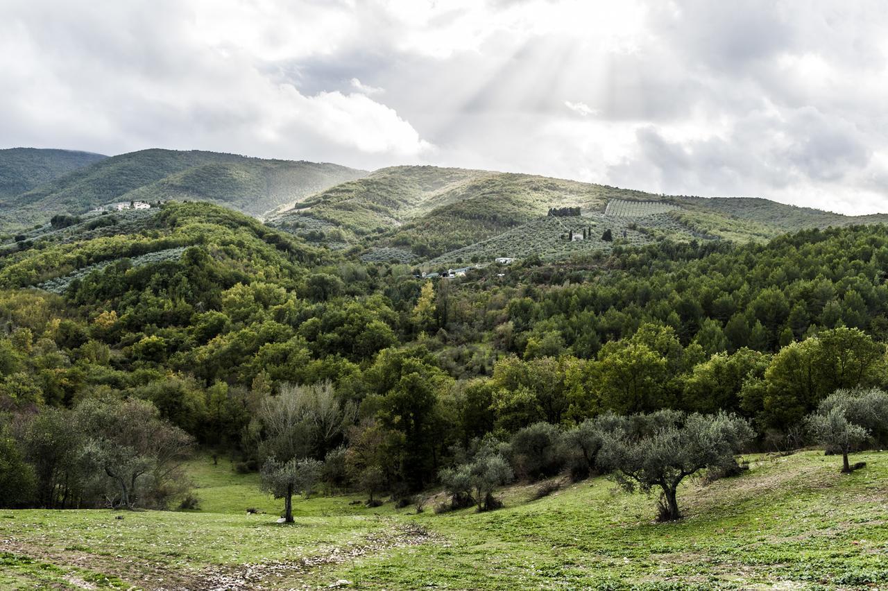 Tenuta San Felice Giano dellʼUmbria Екстериор снимка