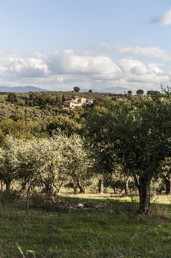 Tenuta San Felice Giano dellʼUmbria Екстериор снимка